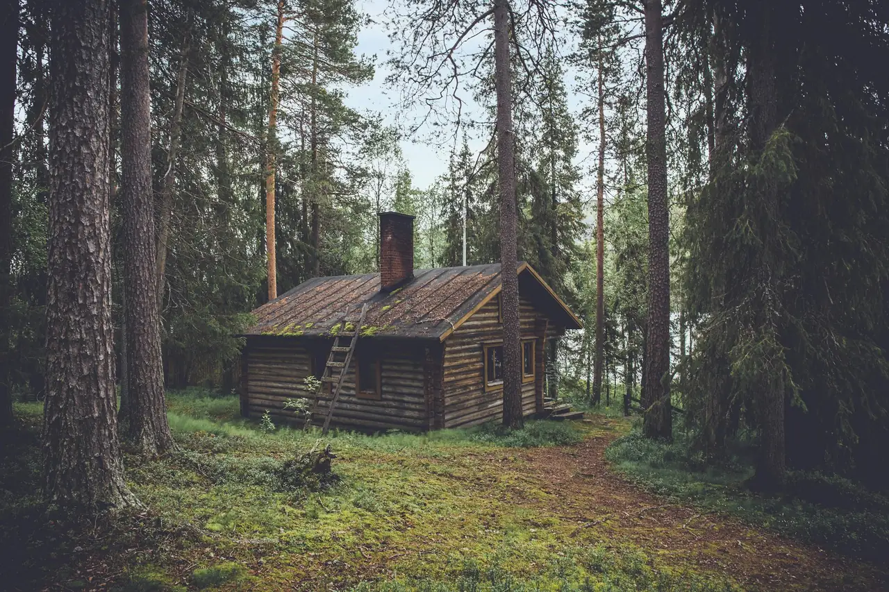 Chalet en bois niché dans une forêt verdoyante en été