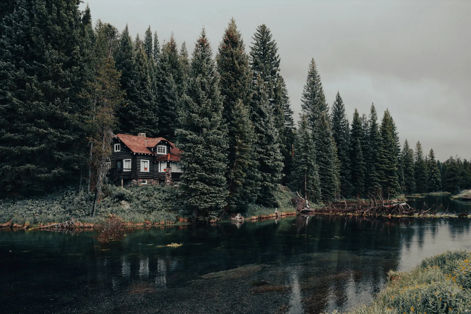 Chalet au bord d’une rivière paisible, entouré d’une forêt de conifères