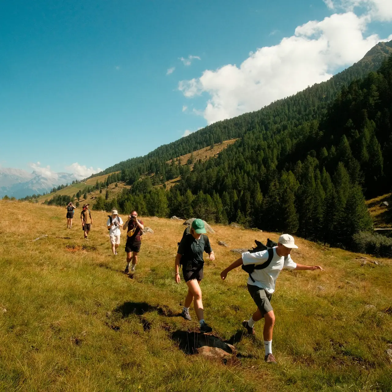 Randonneurs dans une prairie au pied d’une montagne boisée
