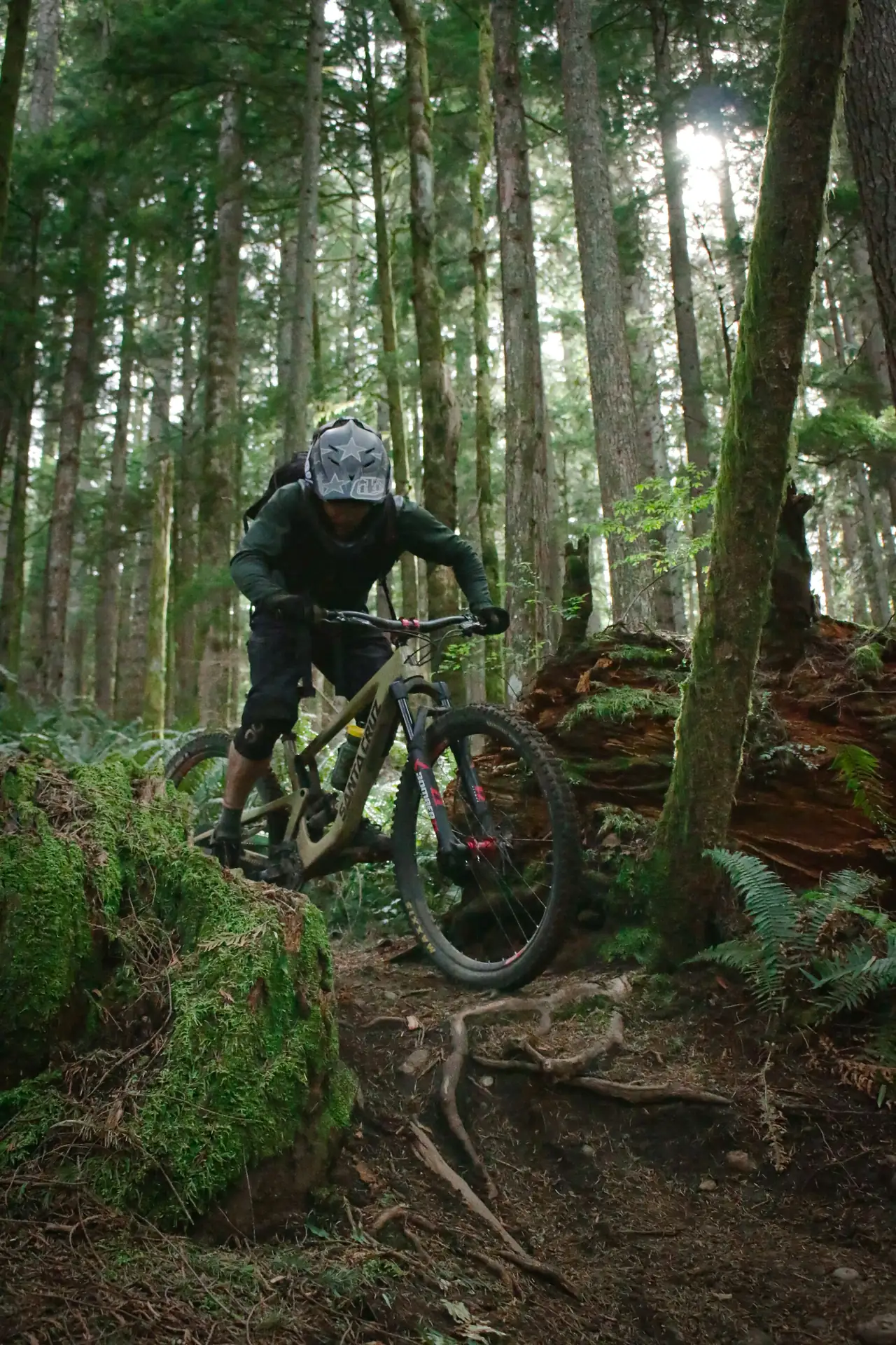 Vélo de montagne en forêt
