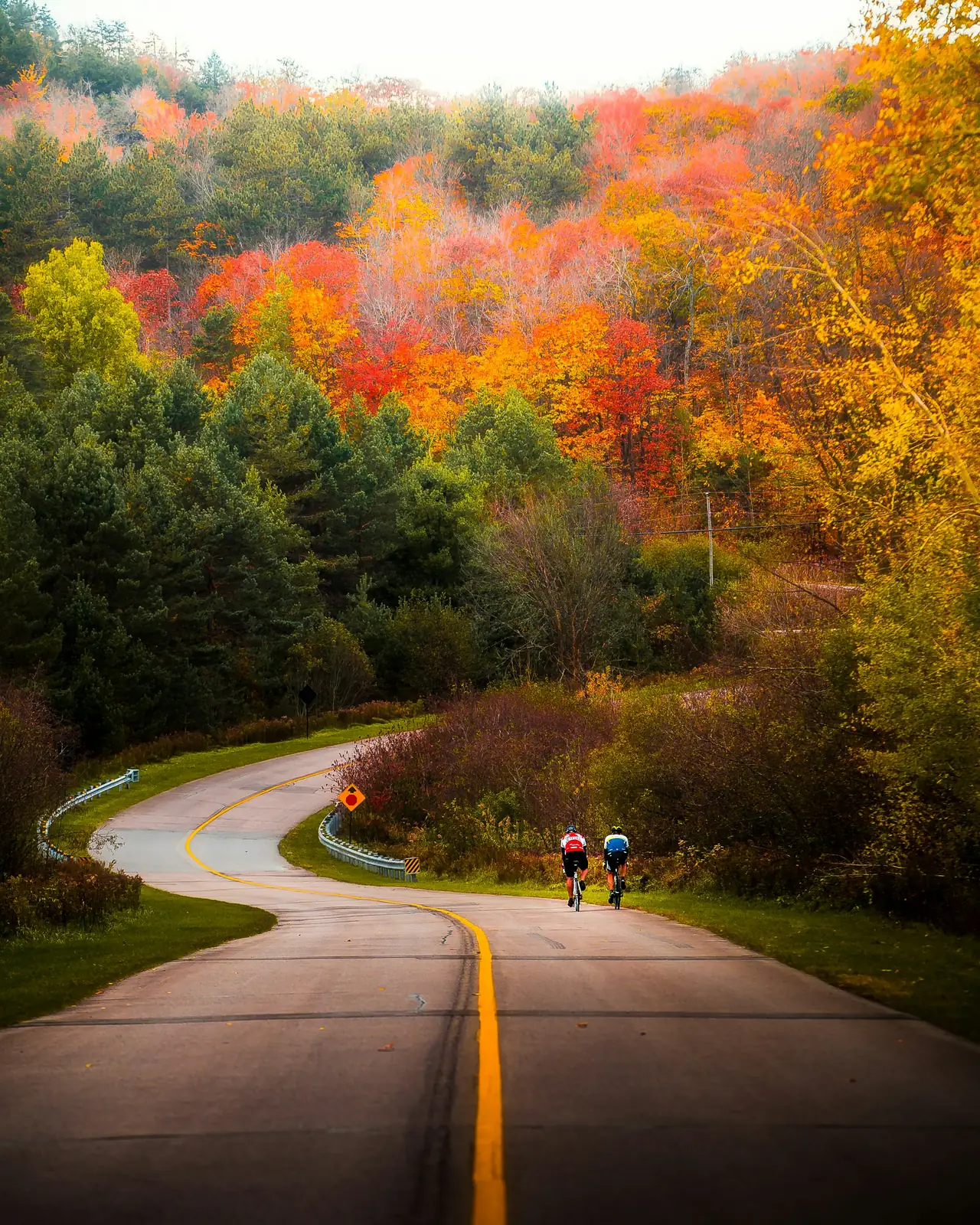 Cyclistes sur une route de campagne en automne