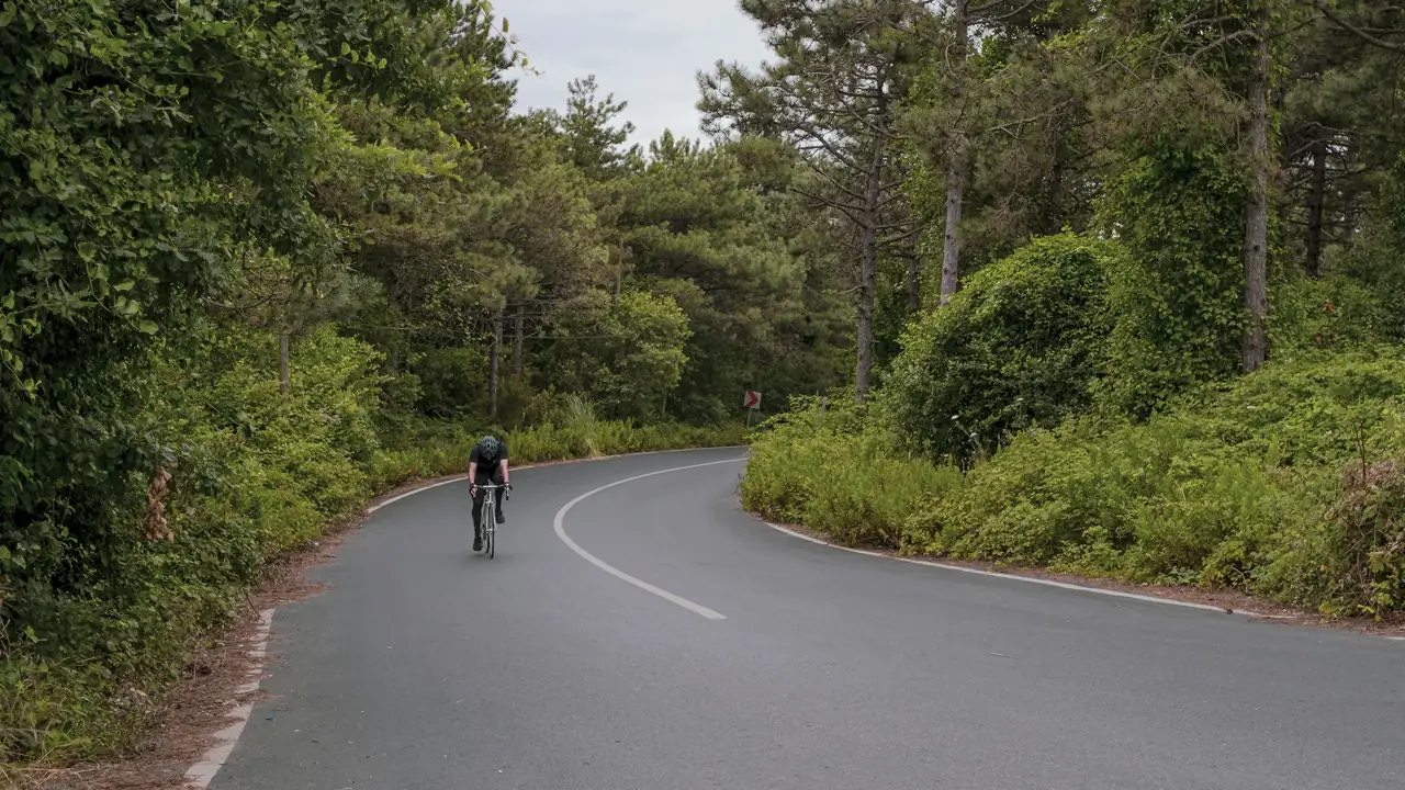 Cycliste sur une route en forêt