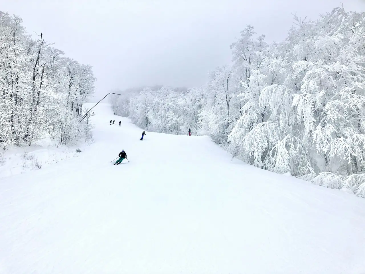 Skieurs sur une piste enneigée