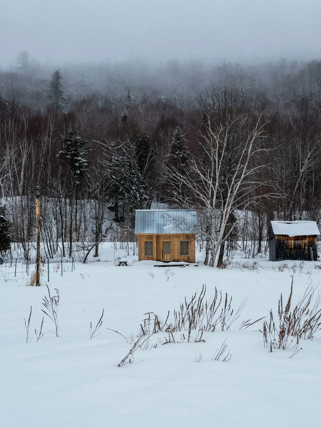 Petits chalets dans un champ enneigé