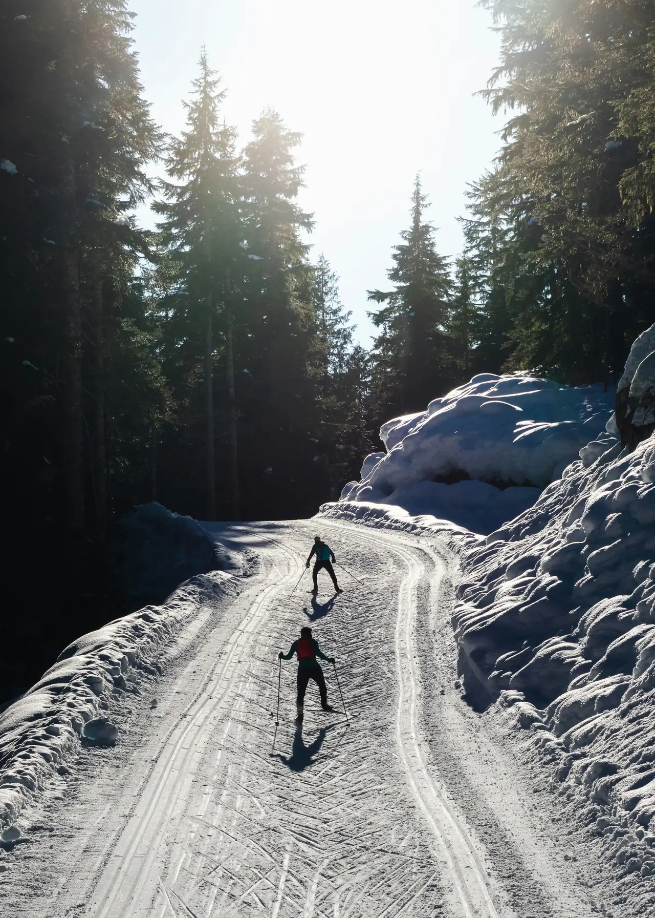 Skieurs de fond sur une piste en forêt